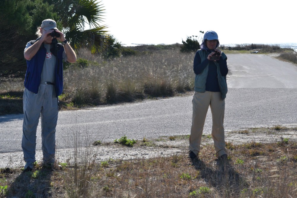 Gary and Sharon looking for Grasshopper Sparrow