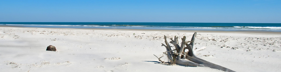 Little Talbot Island Little Talbot Island