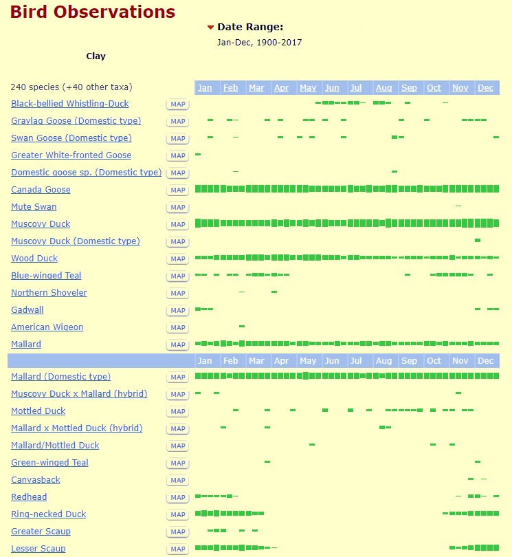 
Clay county bird observations